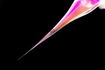 This shows the micropipette.
