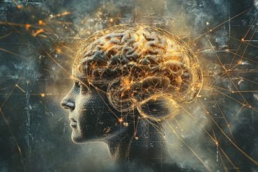 This shows a head and a brain.