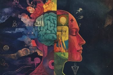 This shows a head.