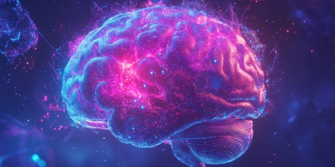 This shows a brain.