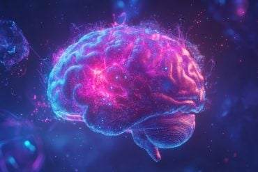 This shows a brain.