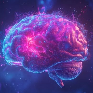 This shows a brain.