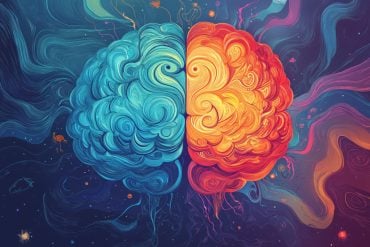 This shows a brain.