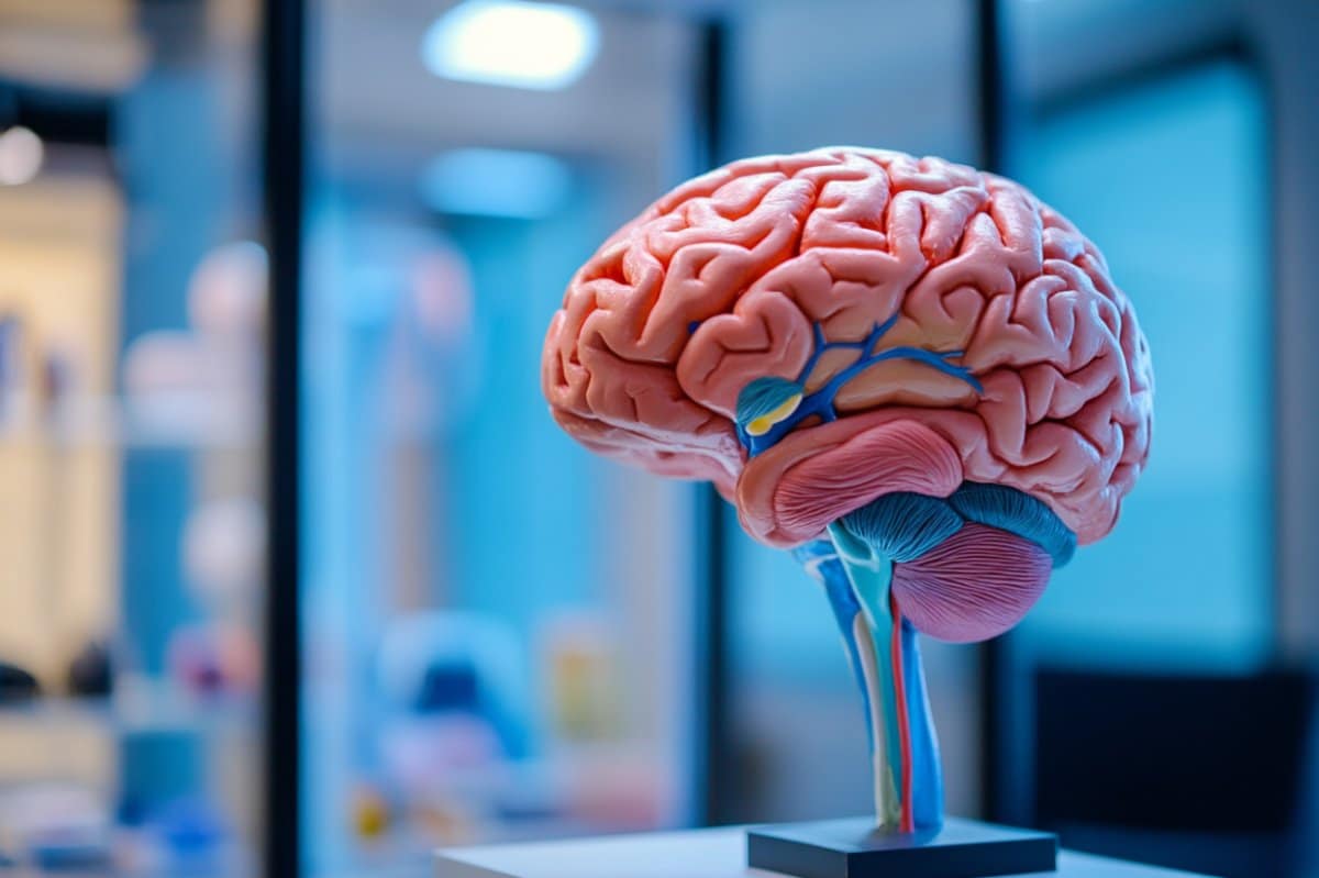 senses-consciousness-attention-neuroscience