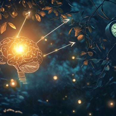 This shows a brain.