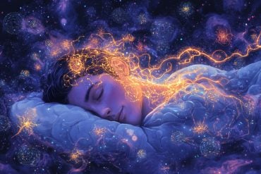 This shows a person sleeping.