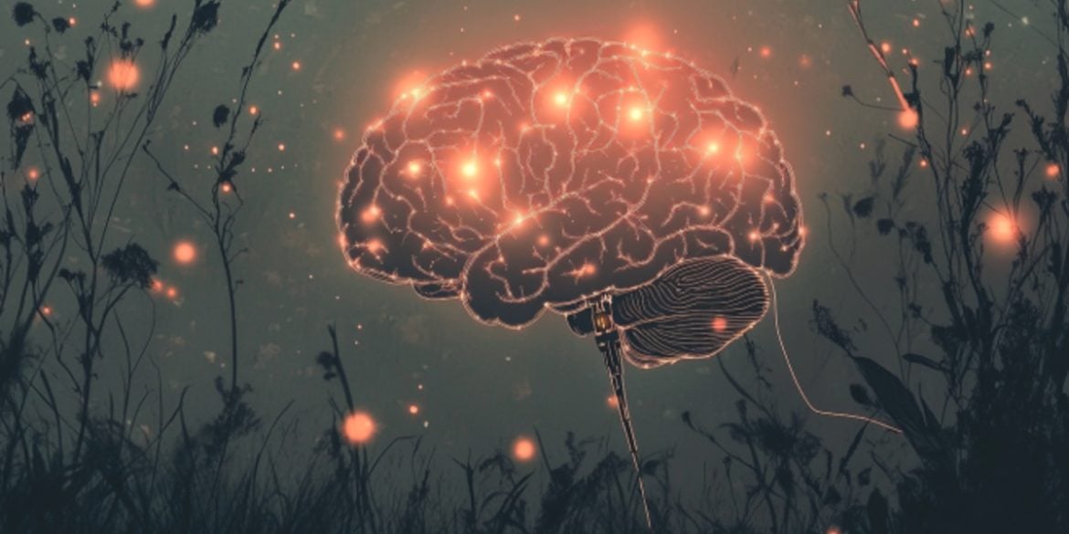 This shows a brain.