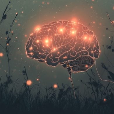 This shows a brain.