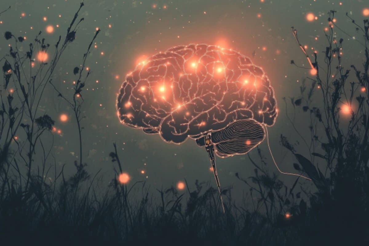 Vagus Nerve Stimulation Erases PTSD - Neuroscience News