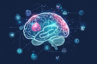 This shows a brain.