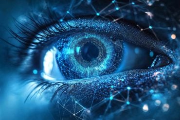 This shows an eye.