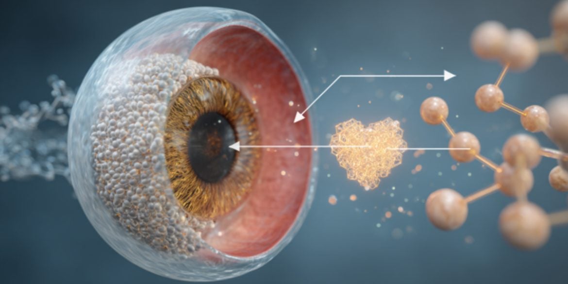 This shows an eye.