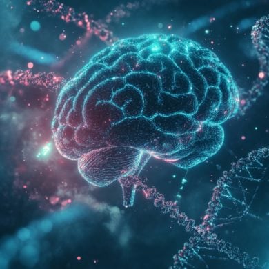 This shows a brain.