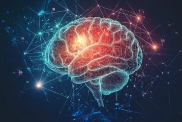 This shows a brain.