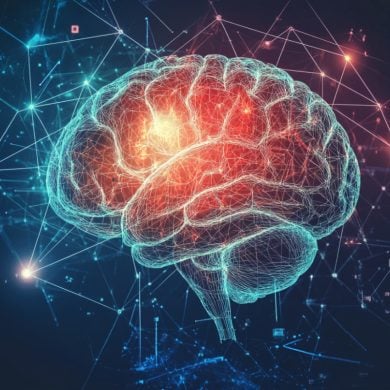 This shows a brain.
