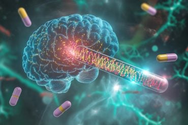 This shows a brain, DNA, and pills.