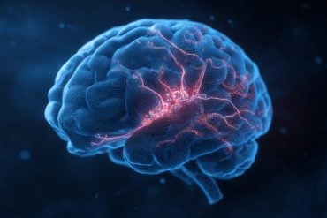 This shows a Brain.