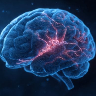 This shows a Brain.