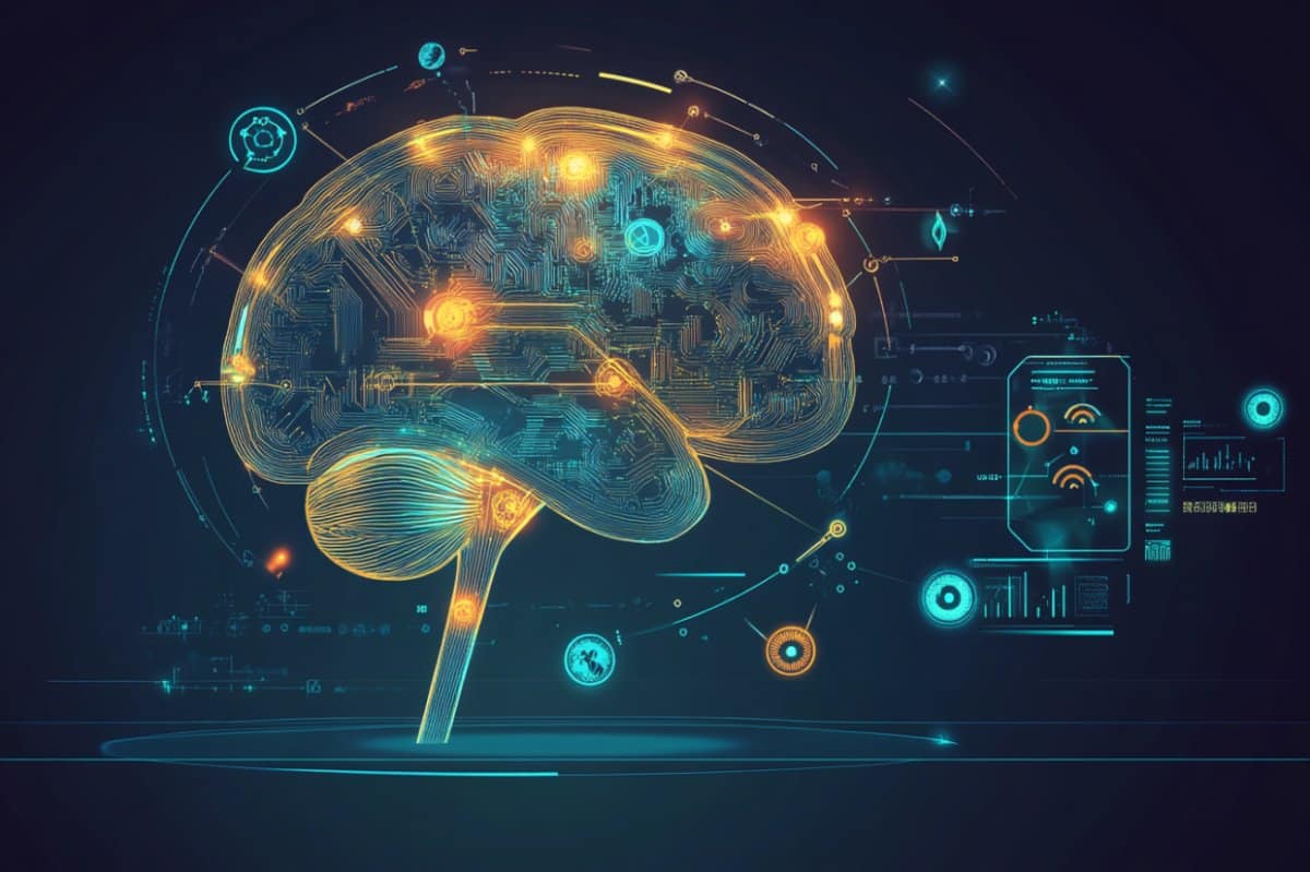 This shows a brain.