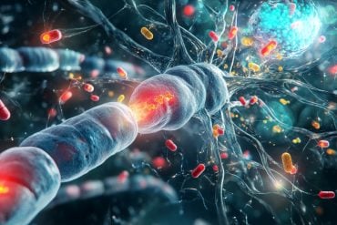 This shows a neuron and pills.