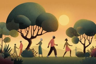This shows people walking in a park.