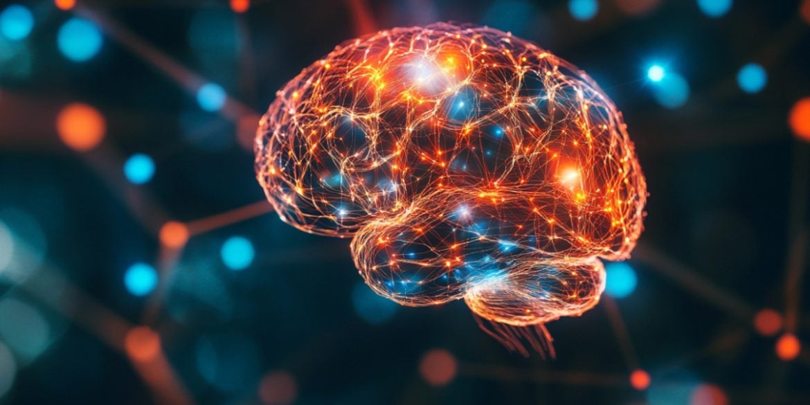 This shows a brain.