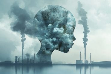 This shows a child's head, a brain and smoke stacks.