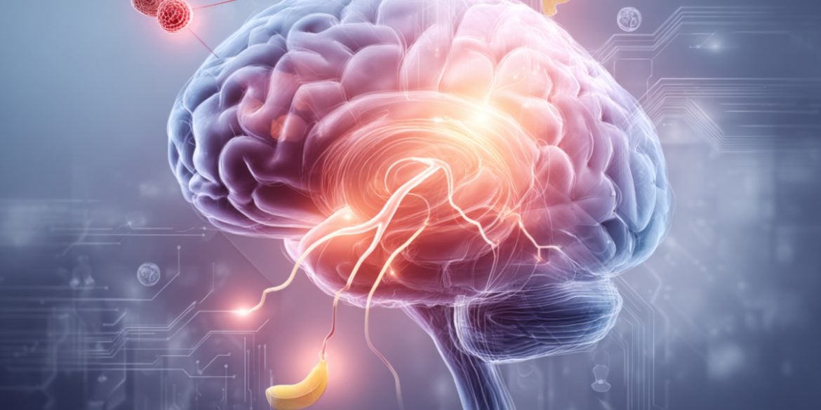 This shows a brain.