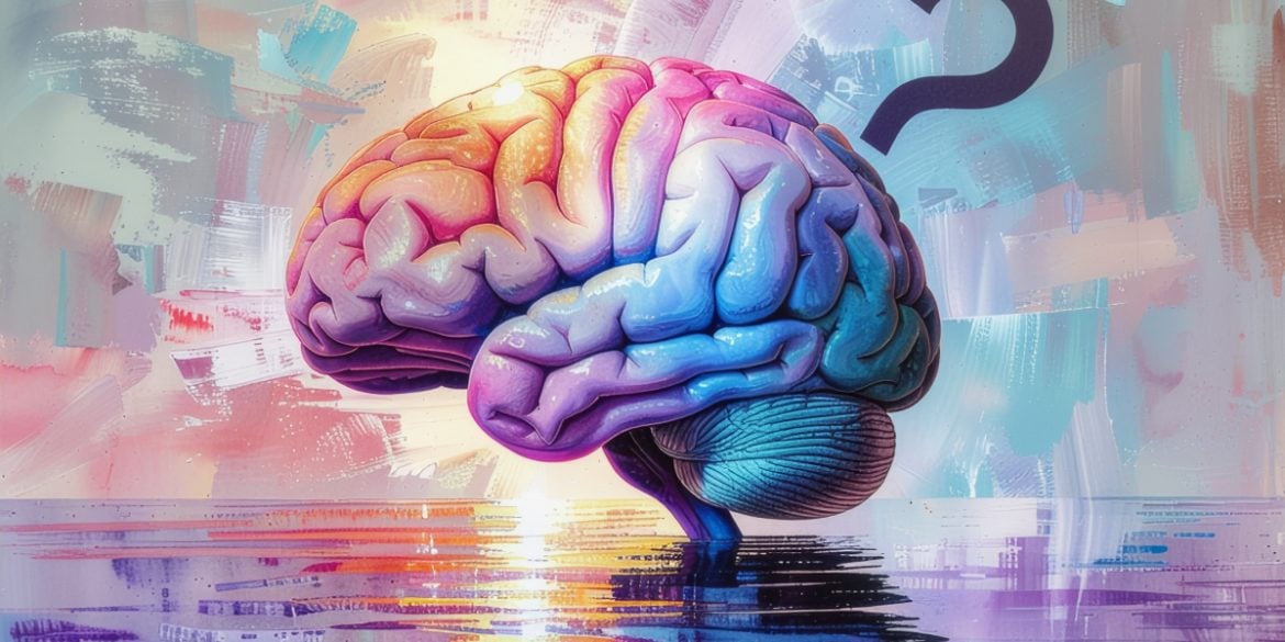 This shows a brain.