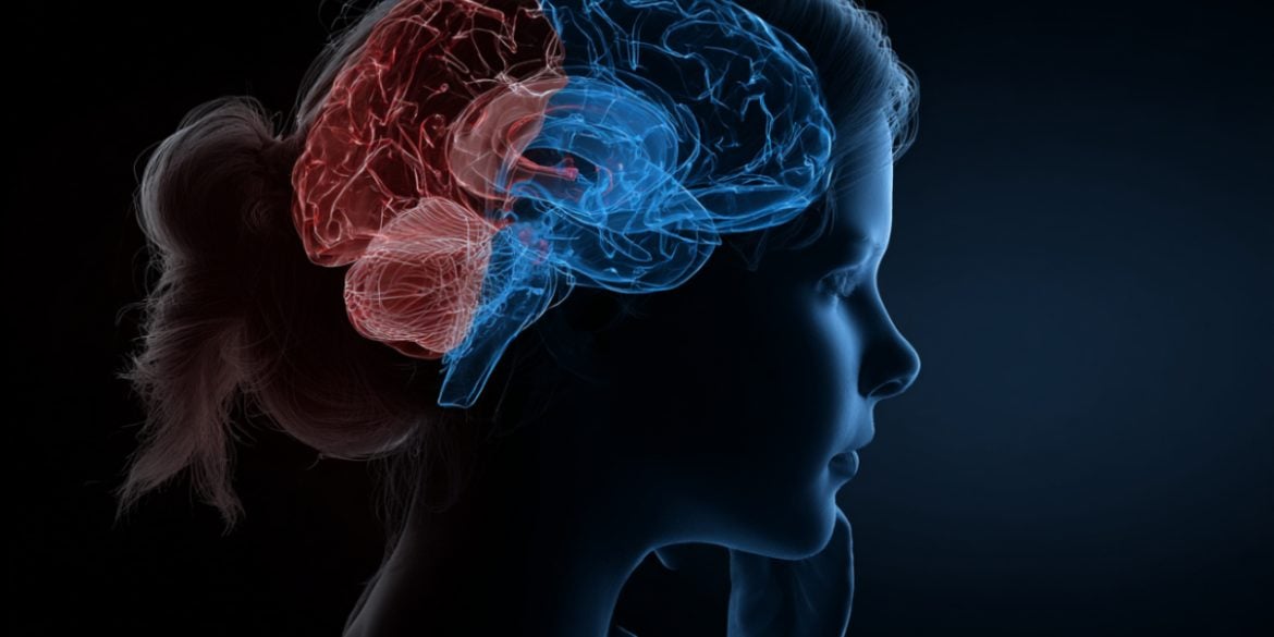 This shows the outline of a head and a brain.