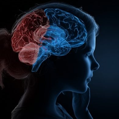 This shows the outline of a head and a brain.