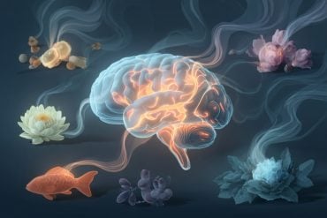 This shows a brain surrounded by stinky objects.