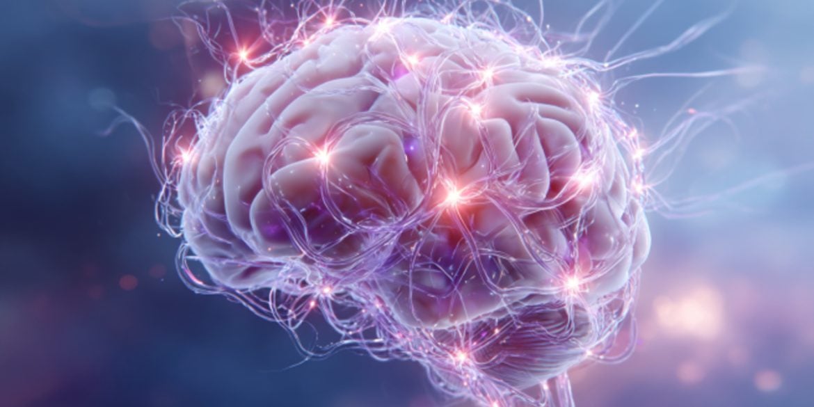 This shows a brain.