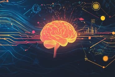 This shows a brain.