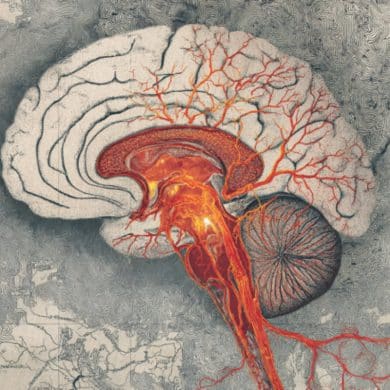 This shows a brain.