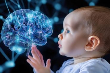 This shows a baby and a brain.