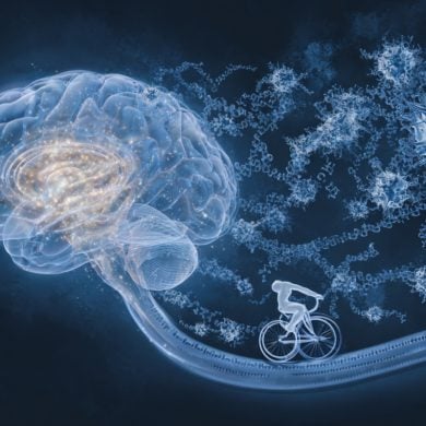This shows a brain.