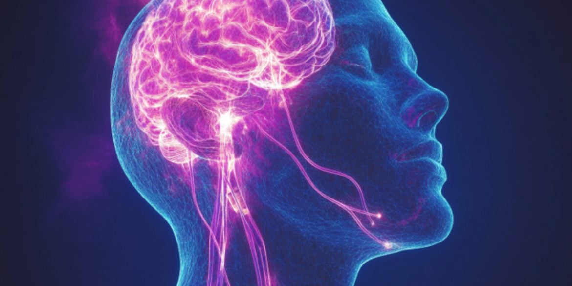 This shows a brain and face.