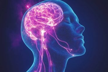 This shows a brain and face.