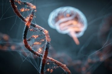 This shows DNA and a brain.