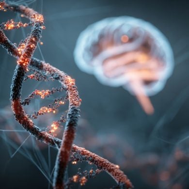 This shows DNA and a brain.