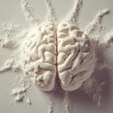 This shows a brain.
