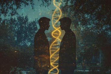 This shows twins and DNA.
