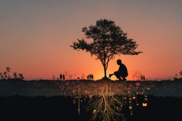 This shows a person planting a tree.
