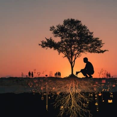 This shows a person planting a tree.
