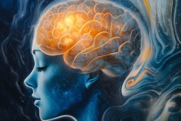 This shows a head and a brain.