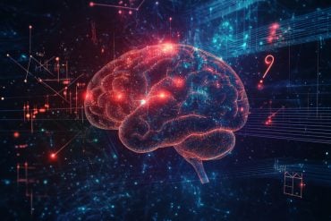 This shows a brain.