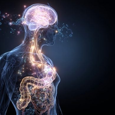 This shows a gut and brain.