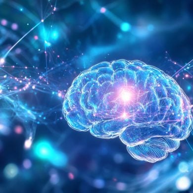 This shows a brain.
