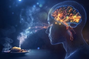 This shows food, a head, and a brain.